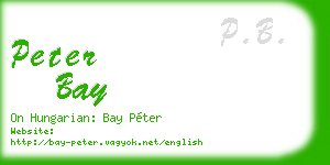 peter bay business card